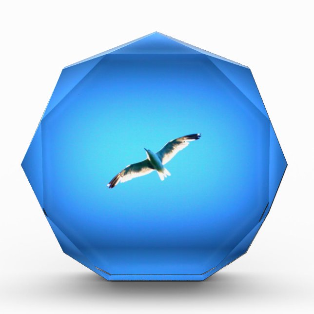 soaring seagull award (Front)