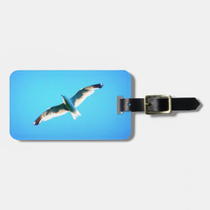 soaring seagull tag