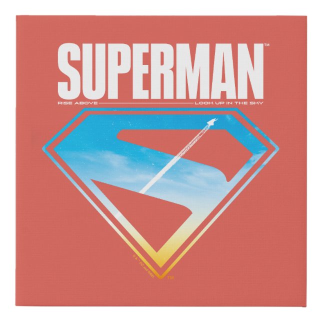 Soaring Through the S-Shield Faux Canvas Print (Front)