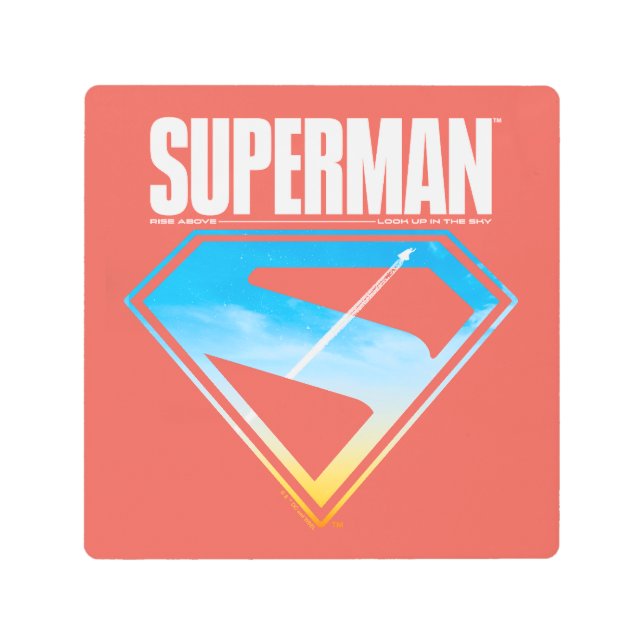 Soaring Through the S-Shield Metal Print (Front)