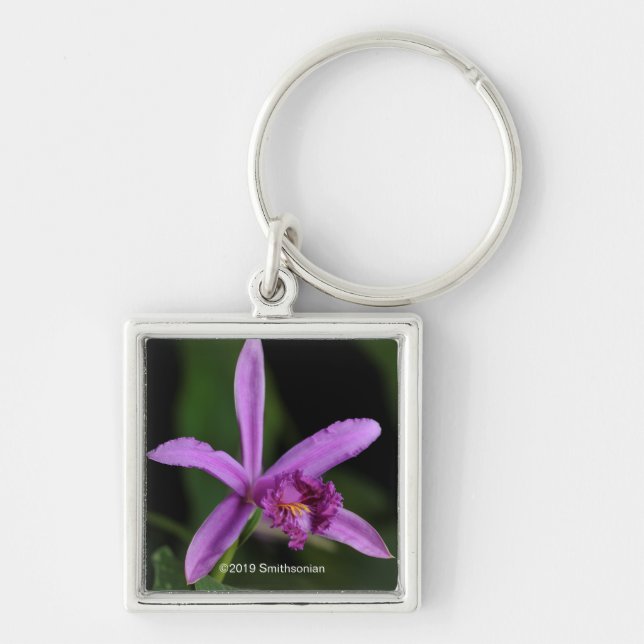 Sobralia Bouchei Keychain (Front)
