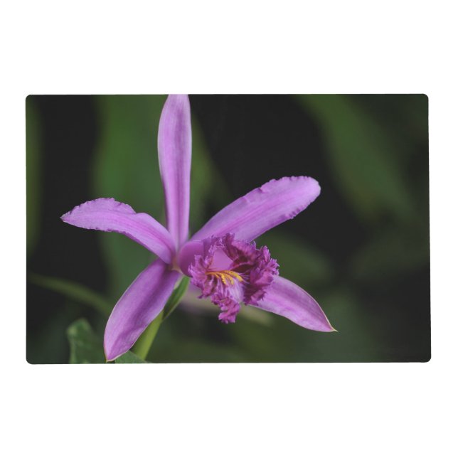 Sobralia Bouchei Placemat (Front)