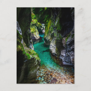 Soca gorge in Slovenia Postcard