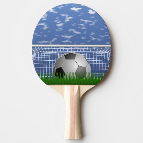 Soccer ball and net ping pong paddle