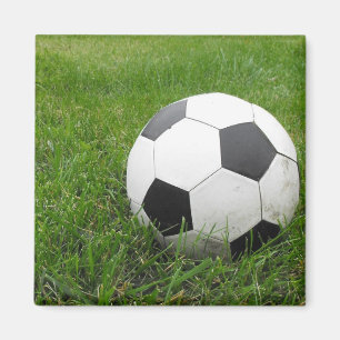 Soccer Ball in Grass Magnet