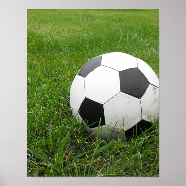 Soccer Ball in Grass Poster (Front)
