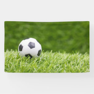 Soccer ball is on green grass background banner