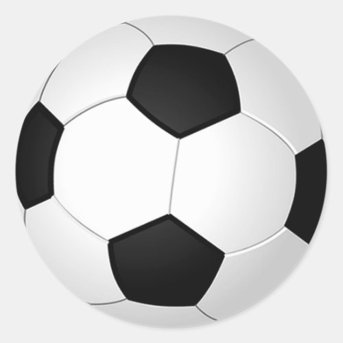 Soccer Ball Stickers Blank Hand Write or Add Text