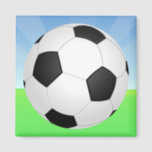 Soccer Ball Sunny Day Magnet