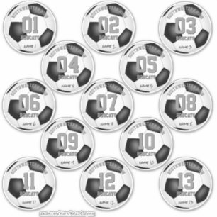 soccer balls set of 13 individually personalized sticker