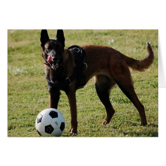 Soccer Dog Cards (Front Horizontal)