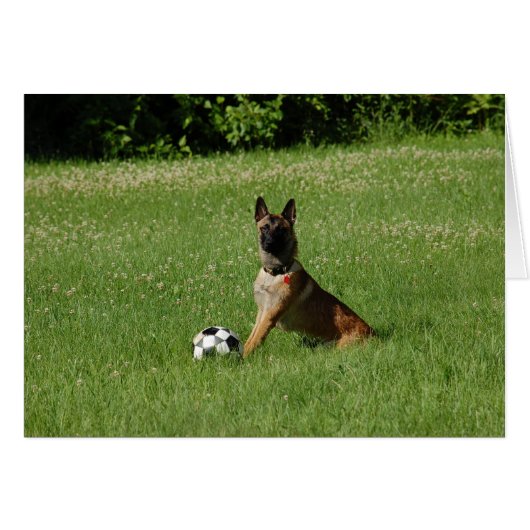 Soccer Malinois Cards (Front Horizontal)