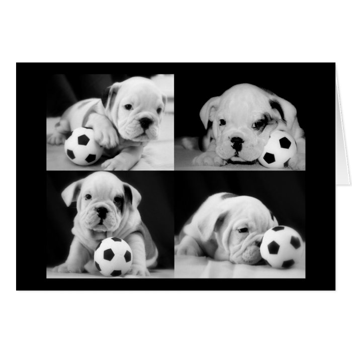 "Soccer Puppies" English Bulldog Collage Greeting Cards