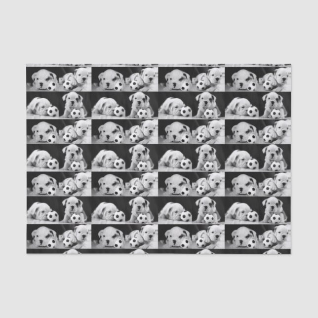 "Soccer Puppies" English Bulldog Collage Tissue Paper (Front)