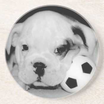 "soccer Puppy" English Bulldog Coaster by time2see at Zazzle