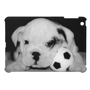 "Soccer Puppy" English Bulldog Photography iPad Mini Cover