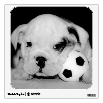 "soccer Puppy" English Bulldog Wall Sticker by time2see at Zazzle