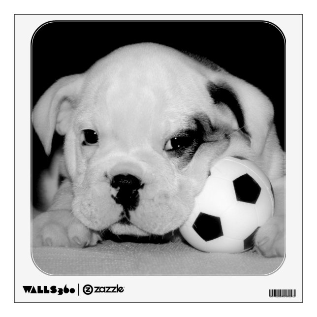 "Soccer Puppy" English Bulldog Wall Sticker (Front)