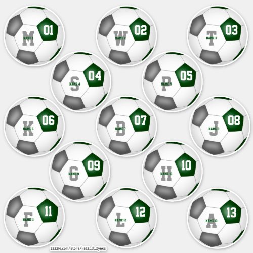 green gray soccer team colors individual players  sticker