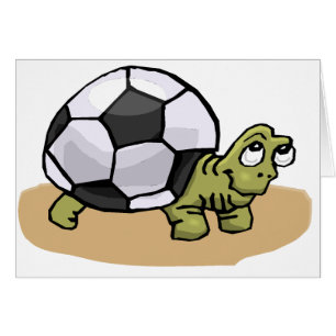 Soccer Turtle