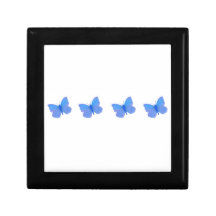 Social Butterfly!
