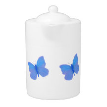 Social Butterfly!