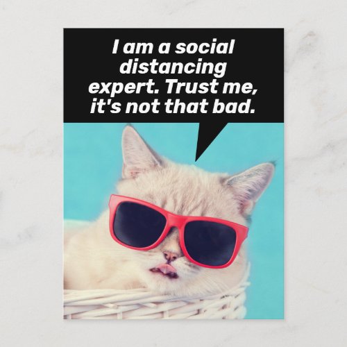 Social Distancing Cat_ Encouragement and Coping Postcard