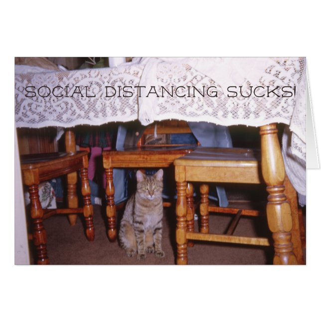 Social distancing Cat Under a Kitchen Table Cards (Front Horizontal)