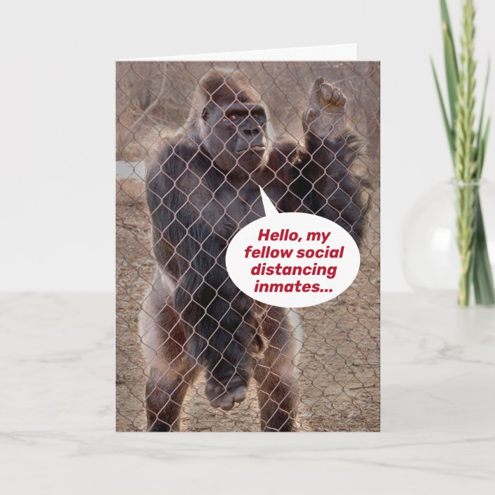 Social Distancing Gorilla Encouragement and Coping Card | Zazzle.com