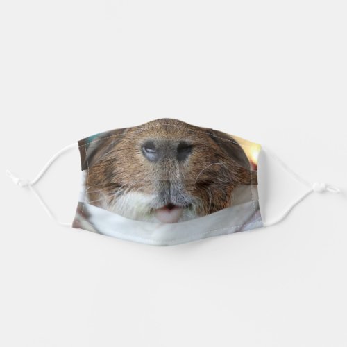 Social Distancing Guinea Pigs Adult Cloth Face Mask