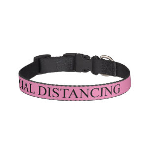 Social distancing typography funny girly pink pet collar