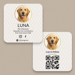 Social Media QR Code Gold Dog Pet Elegant Photo Square Business Card