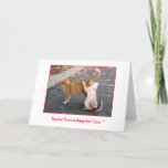 Social Networking For Cats Blank Inside Card at Zazzle