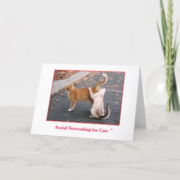 Social Networking For Cats Blank Inside Card by TheyHadMeAtMeow at Zazzle