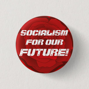"Socialism for our Future!" Button