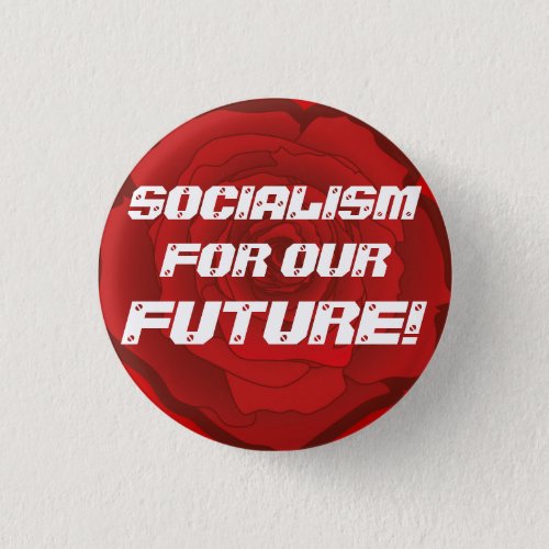 Socialism for our Future Button