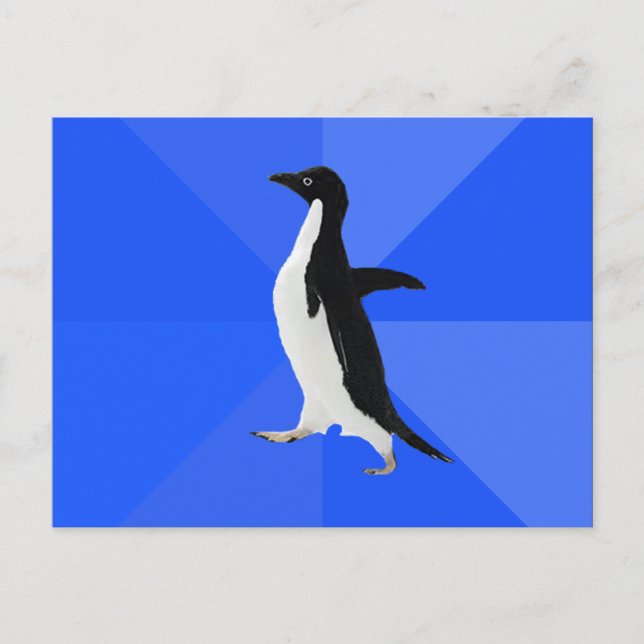 Socially Awkward Penguin ("Customize" to add text) Postcard (Front)