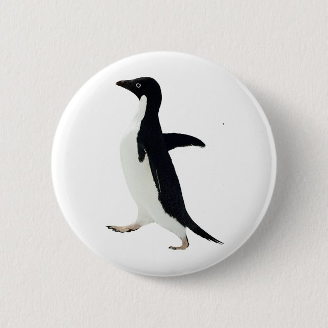 Socially Awkward Penguin Pinback Button (Front)