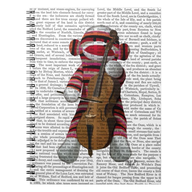Sock Monkey and Cello Notebook (Front)