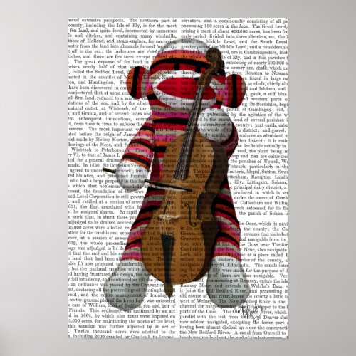 Sock Monkey and Cello Poster