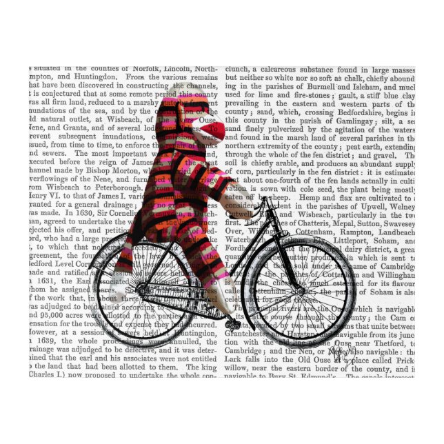 Sock Monkey on Bicycle Acrylic Print (Front)