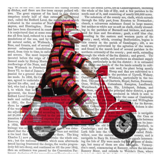Sock Monkey on Moped Acrylic Print (Front)