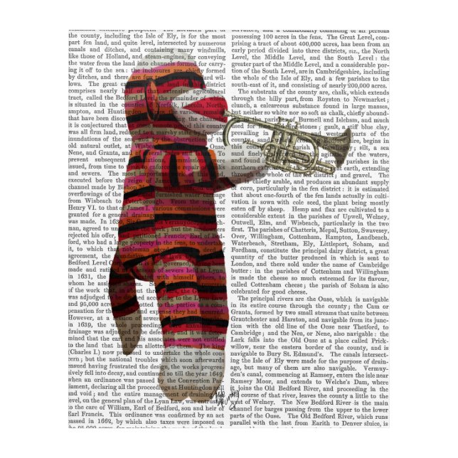 Sock Monkey Playing Trumpet Acrylic Print (Front)