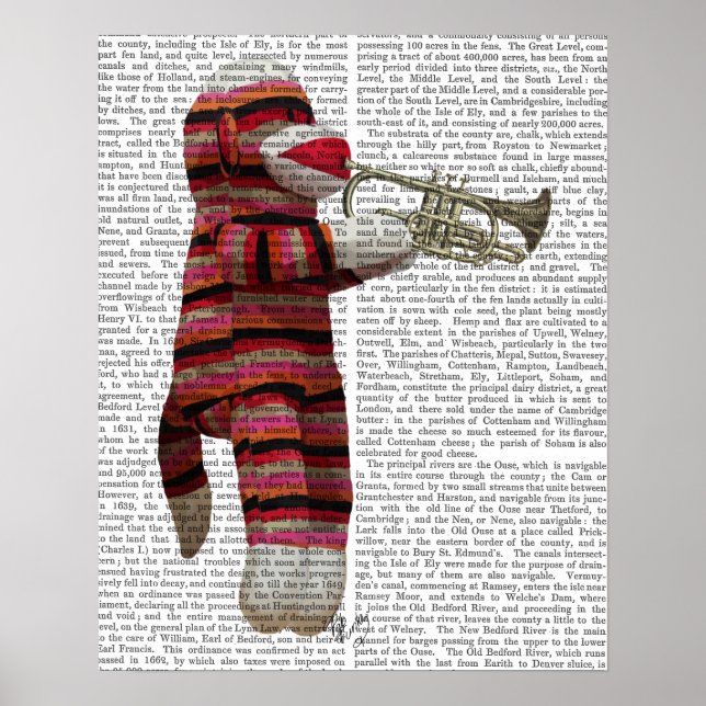 Sock Monkey Playing Trumpet Poster (Front)