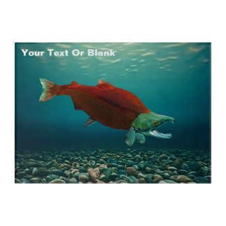 Sockeye Salmon