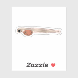 Sockeye Salmon Alevin Sticker