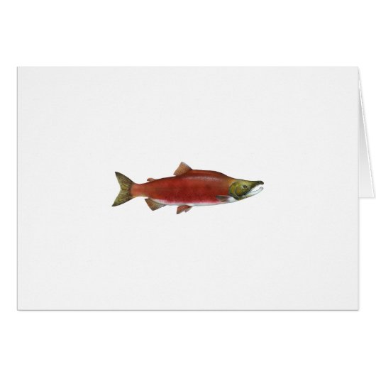 Sockeye Salmon Cards (Front Horizontal)
