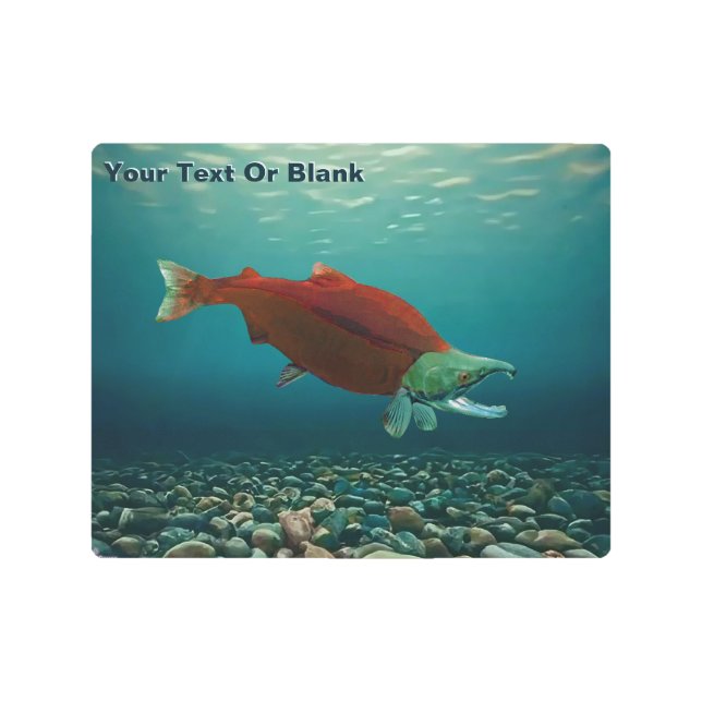Sockeye Salmon Metal Print (Front)