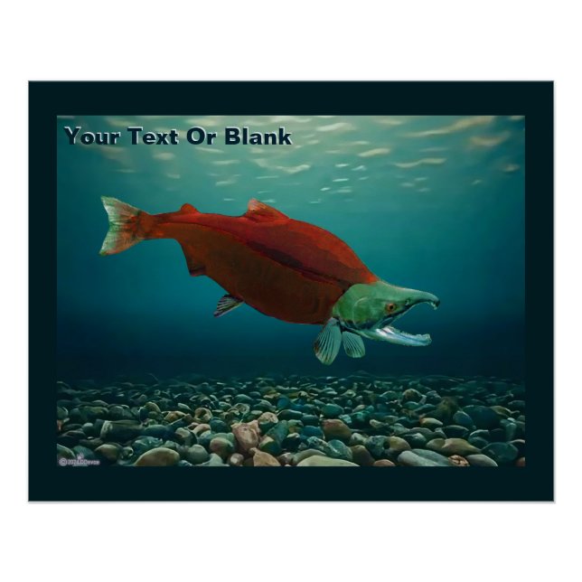 Sockeye Salmon Poster (Front)