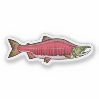 Sockeye Salmon Spawning Phase 2 Sticker